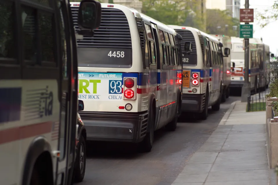 CTA Buses